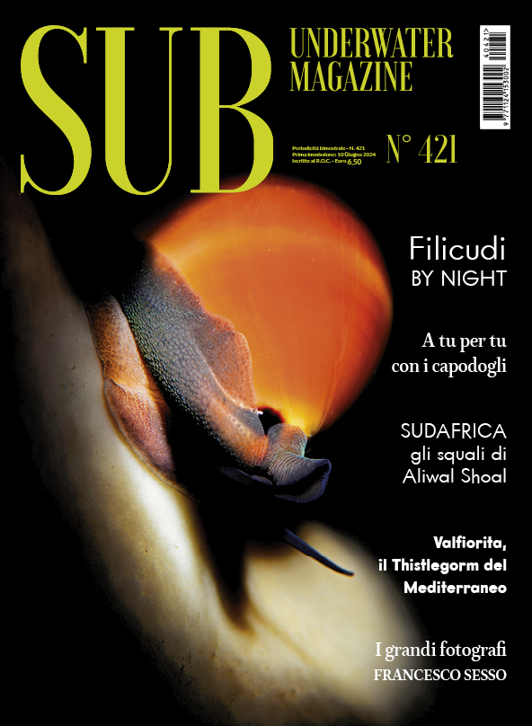 Sub Underwater Magazine 421