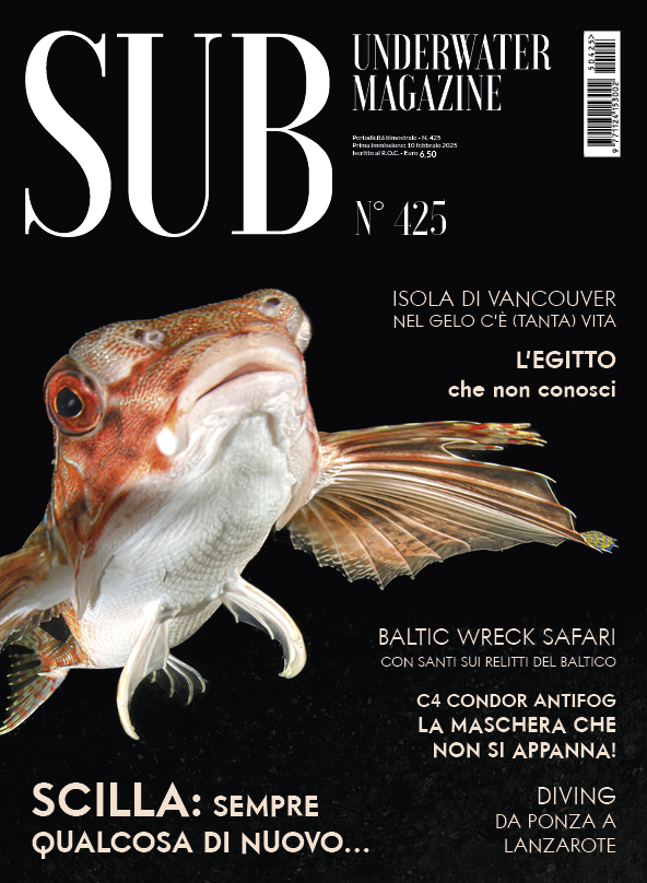 Sub Underwater Magazine 425